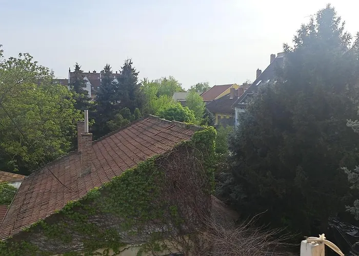Napraforgo Apartman Szeged