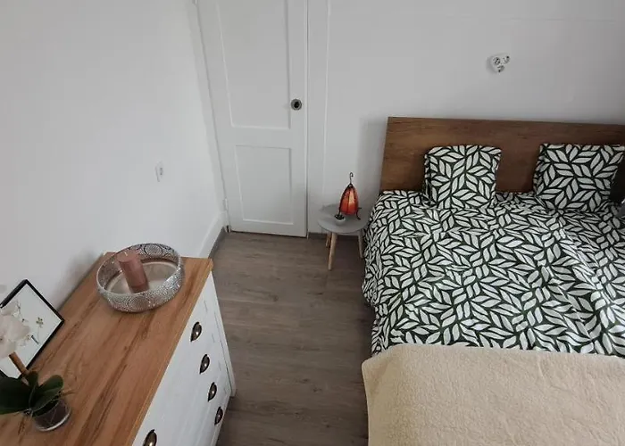 Napraforgo Apartman