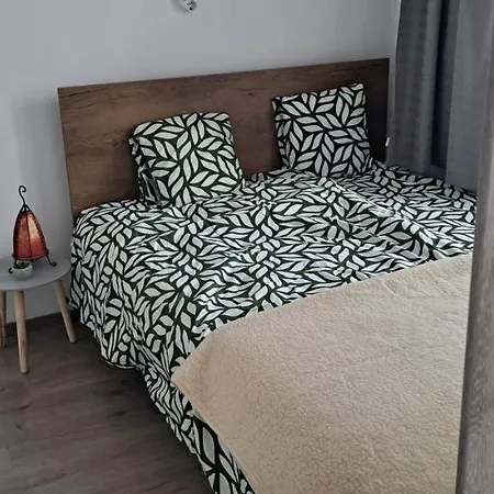 Napraforgo Apartman * סגד